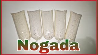 Bolis de NOGADA