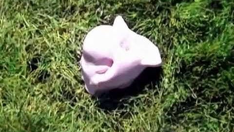 welcome to Encino it