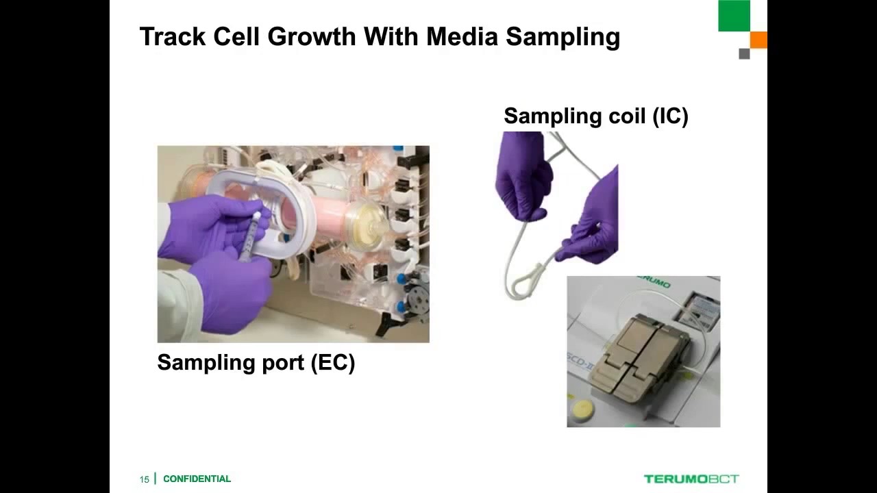 Jim Belzer - Case Studies: Scaling Cell Therapy Manufacturing