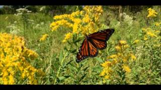 We All Share the Same World Reprise, sung by Kelly Clear