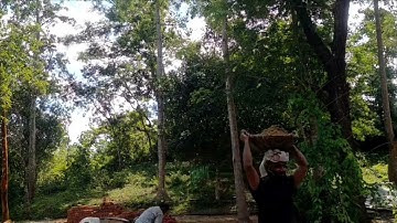 ما تيسر من سورة لقمان في صلاة الفجر