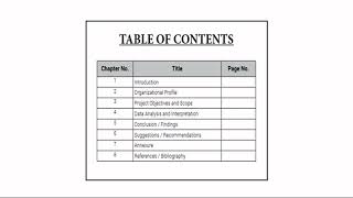 MITSDE Project Guidelines