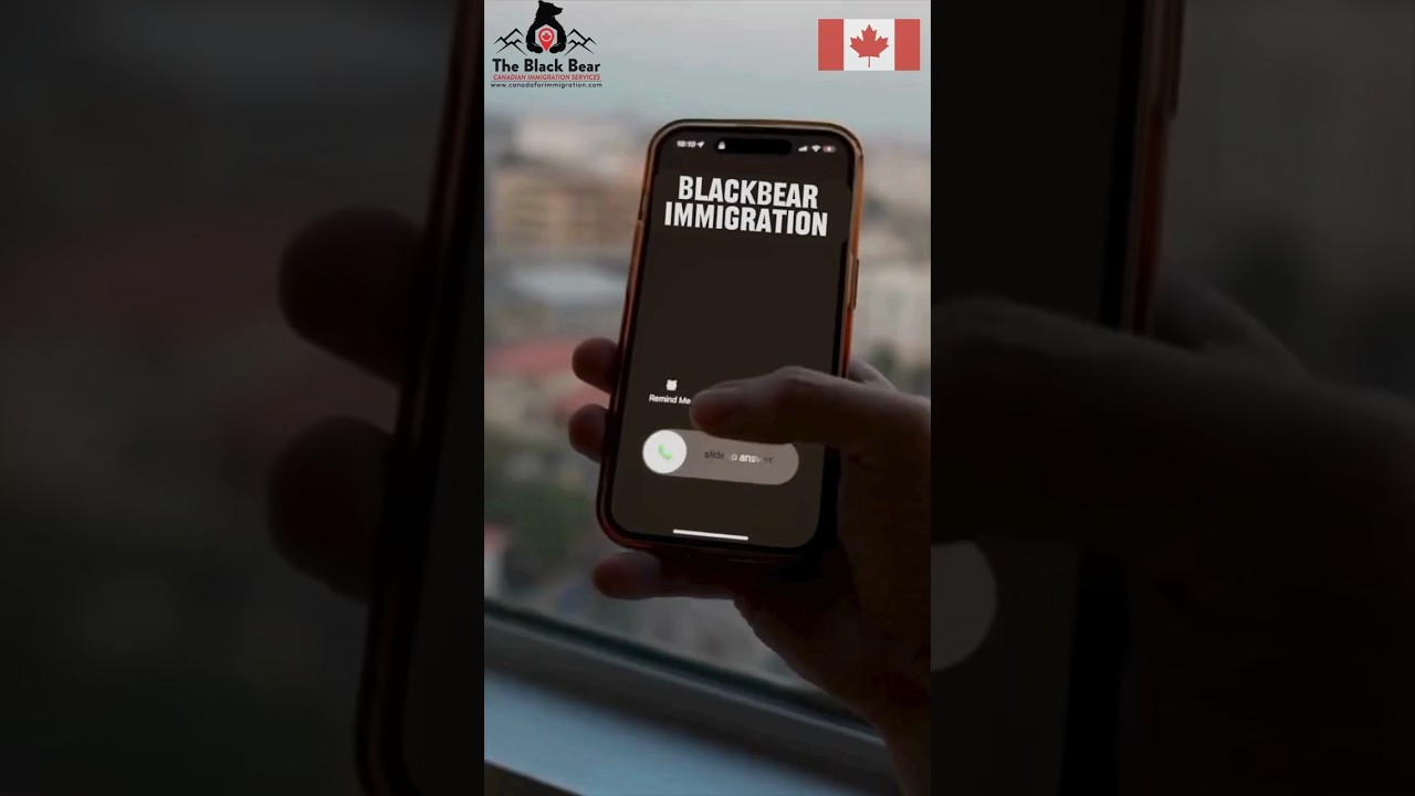 Expert Canadian Immigration Services | Black Bear Immigration