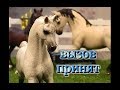 Вызов Принят | №3 | лошади Schleich (шляйх)