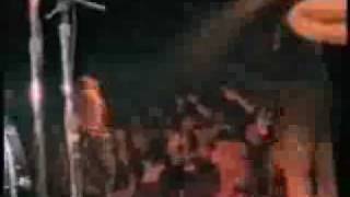 Nashville Pussy "High as Hell"