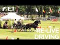 Relive  driving valkenswaard international 2017  cone driving