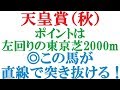 【競馬予想】天皇賞秋2019 アーモンドアイ絶対ではない!東京芝2000mで勝つのは◎この馬!