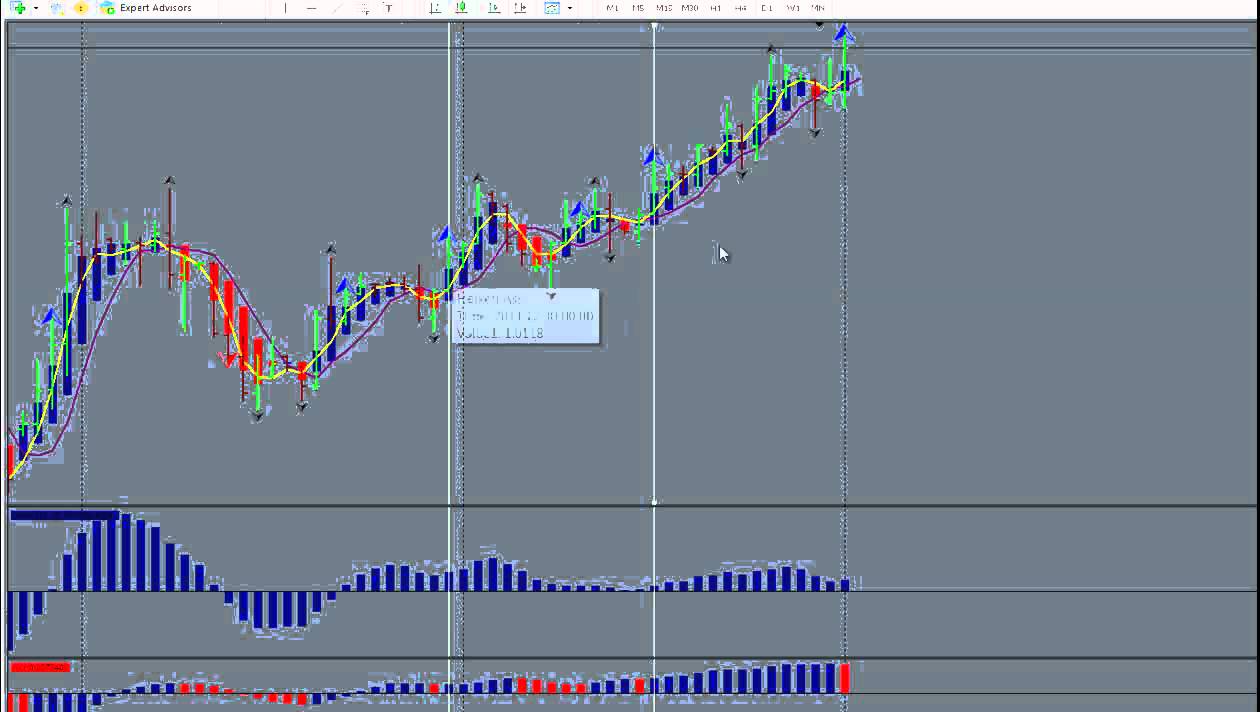Fundamental or Technical trading-Which Is Best?,  Forex Trading Styles