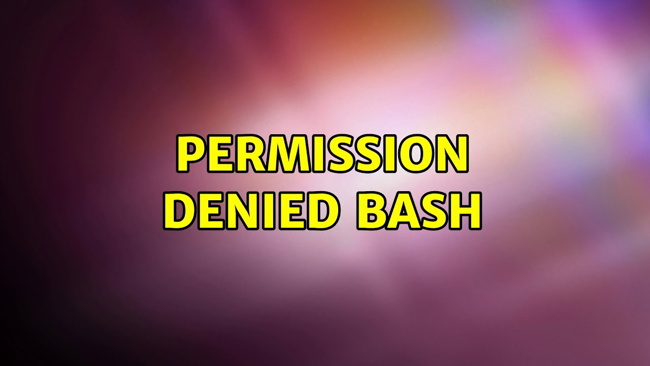 Permission denied bash youtube