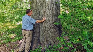 Tylers 650 Acre Challenge
