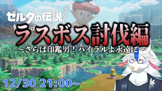 【ゼルダの伝説 知恵のかりもの #13】スタンプコンプリート！ようやくラスボス挑むの回【Vtuber/陽田白】