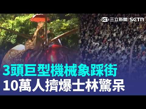 大象來了小巷擠爆 民怨人潮堵塞動線超亂！美神秘灰獸連咬3人 監視器拍下撲腿猛咬 便當店驚見"哈魚飯" 民眾好奇問:創意料理?【強打最鮮聞】｜三立新聞LIVE