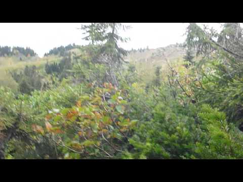 ხვამლის  მთა  1