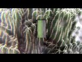 Bon Iver - 29 #Strafford APTS - Official Audio (Spanish Lyrics)