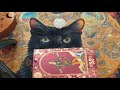 tarot gratis en vivo