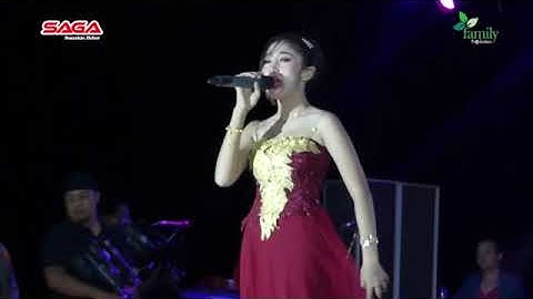 UNGKAPAN HATI - ADELIA ROSE - GOFAR MANDOLIN PERFOME
