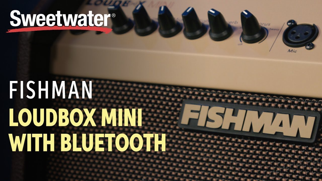 Fishman Loudbox Mini with Bluetooth Overview