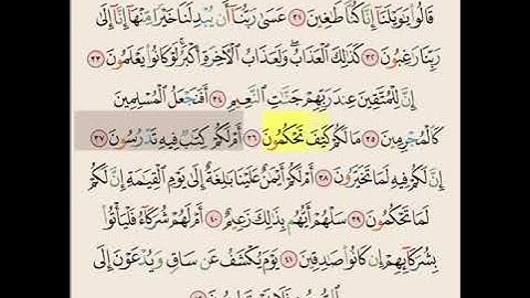 سوره القلم من آيه ٣٠ الى ٤٢ مكرره ١٠ مرات بصوت الشيخ علي الحذيفي