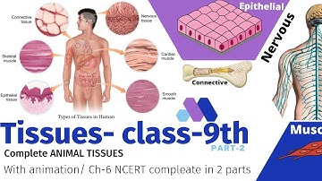 Class-9th Science Chapter-6 TISSUE part-2 / ANIMAL TISSUES/ Animated Explaination in hindi/ biology