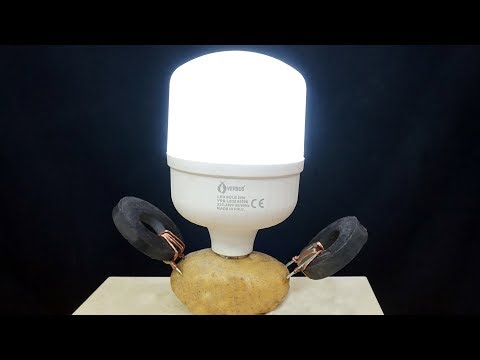 Missing Light at Home? Turn on the Potato. - Magic - Light a Bulb with Potato - Magic.