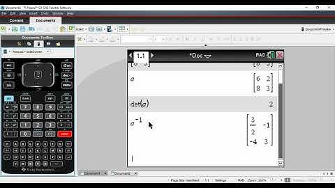 CAS Matrices Part 3   determinant & inverse