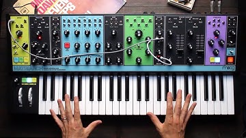 How to use the Moog Matriarch Sequencer for Expression | Overview and Demo with BlankFor.ms