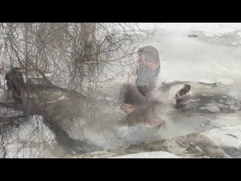 Man saves small dog from icy water off Ellicott Creek