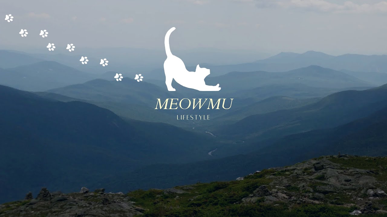 WORK MUSIC - time of Ultimate Work Music for Deep Focus and Efficiency