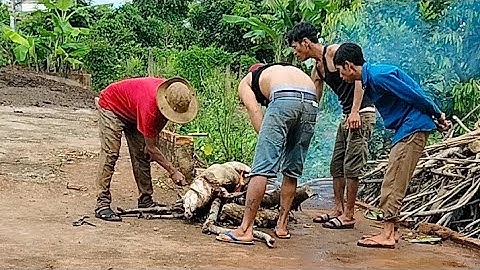 Heo nóng buôn Wiao A Krông năng đắk Lăk