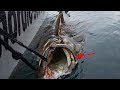 Amazing Halibut Fishing Skills on The Deep Sea, Street Food,  Processing Moon Fish Fast Skills