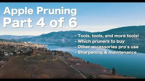 Ambrosia Apple Pruning Like a Pro 4 - by Steve Brown