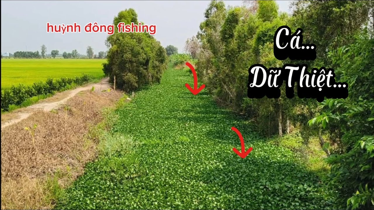 Chia sẻ điểm câu/Cá Dữ Thiệt, nơi khỉ ho,vắng quá thấy sợ mà cá ngon...