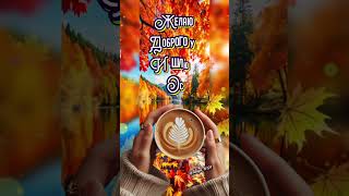 С добрым утром🍁🍂🍁 #доброеутро #сдобрымутром #хорошегодня