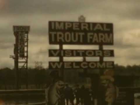 Michigan Trout Farm 1968