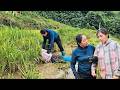 Yen Chi's mother was horrified to find her daughter lying in the rice field