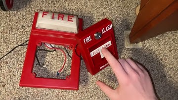 Simplex 4903-9101 Strobe Flashing When the pull station is not pulled￼ Help!!!!!!!!!!!!!