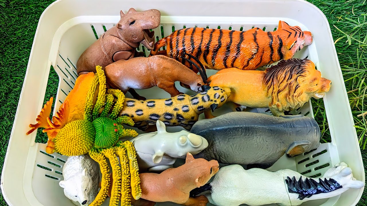 Wild Zoo Animals for Kids | Learn English Vocabulary for Toddlers | Educational Video