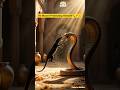 Mongoose vs Cobra...But You Won't Believe Why 🐾🐍💔 #shorts #youtubeshorts #ai