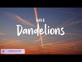 Ruth b  dandelions sia  unstoppable  lyricszone