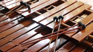 Miniatura de "MARIMBA ALMA DE CHIAPAS - AL SON DE LA MARIMBA"