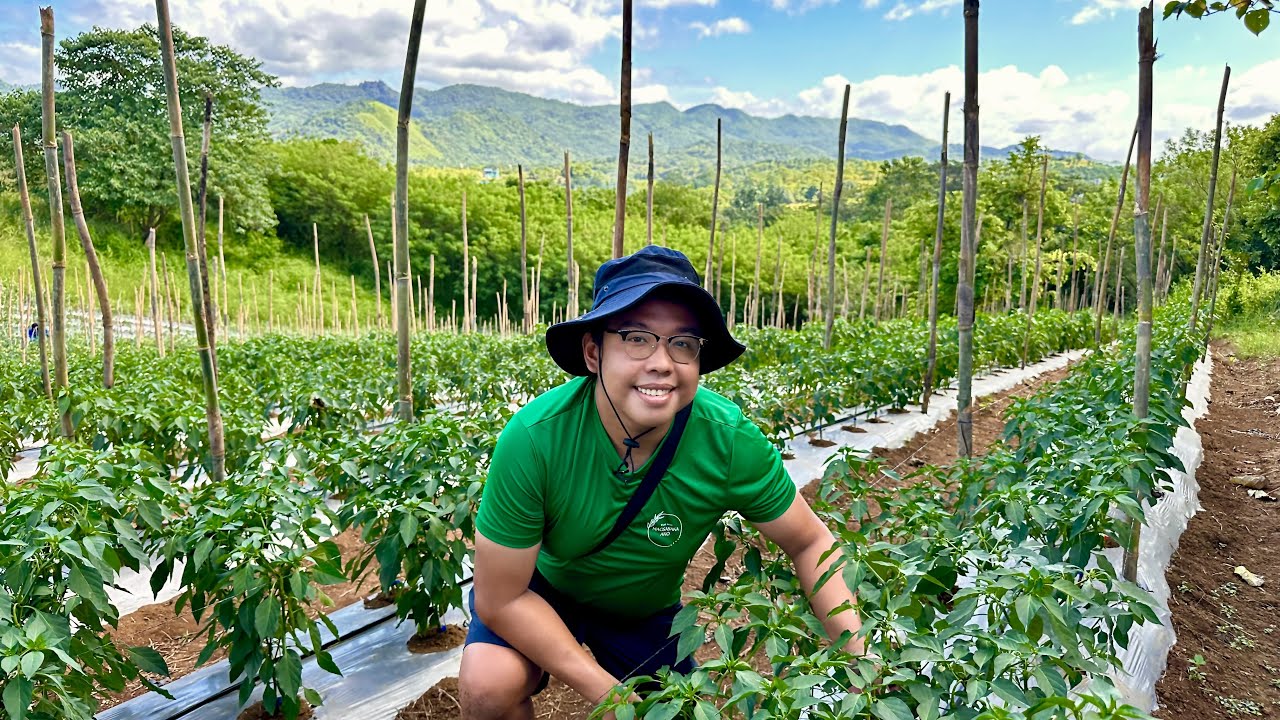 ⁣32 Yrs Old Bachelor, Bakit Maagang nag Full Time Farmer? Bakit Iniwan ang Career sa City?