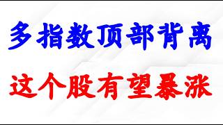 美股多指数顶部背离，是否见顶？这个股有望暴涨！BTC, ETH, MSTR, CRCL分析。