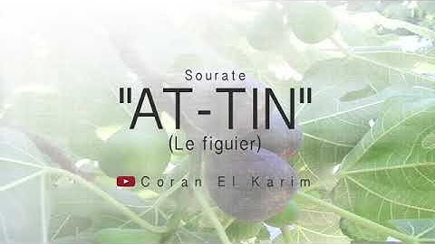 95 - Sourate  AT-Tin  سورة التين  Saad El Ghamidi