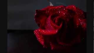 Video thumbnail of "Musicanova - L'Acqua e la Rosa"