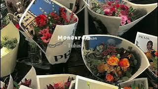 Tulus - Monokrom [ sped up ]