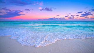 Paradise Found: Ocean Sounds LIVE 24/7. Maldivian Wild Beach & Ocean Waves 4K ULTRA HD
