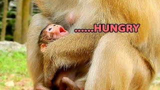 F - Eeling Top Hungry .. Sikinny Rainbow....