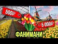 Как цветочный бизнес противостоит пандемии? Как остановить рост цен на продукты? "Фанимани"