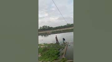 quăng thử cây chài lưới dù, cá nhiều dữ, fishing net, catsfish #shorts