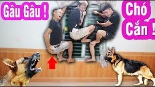 MiNH TÚ    Giả Tiếng Chó Sủa Troll Nam Ok Và Cái Kết !